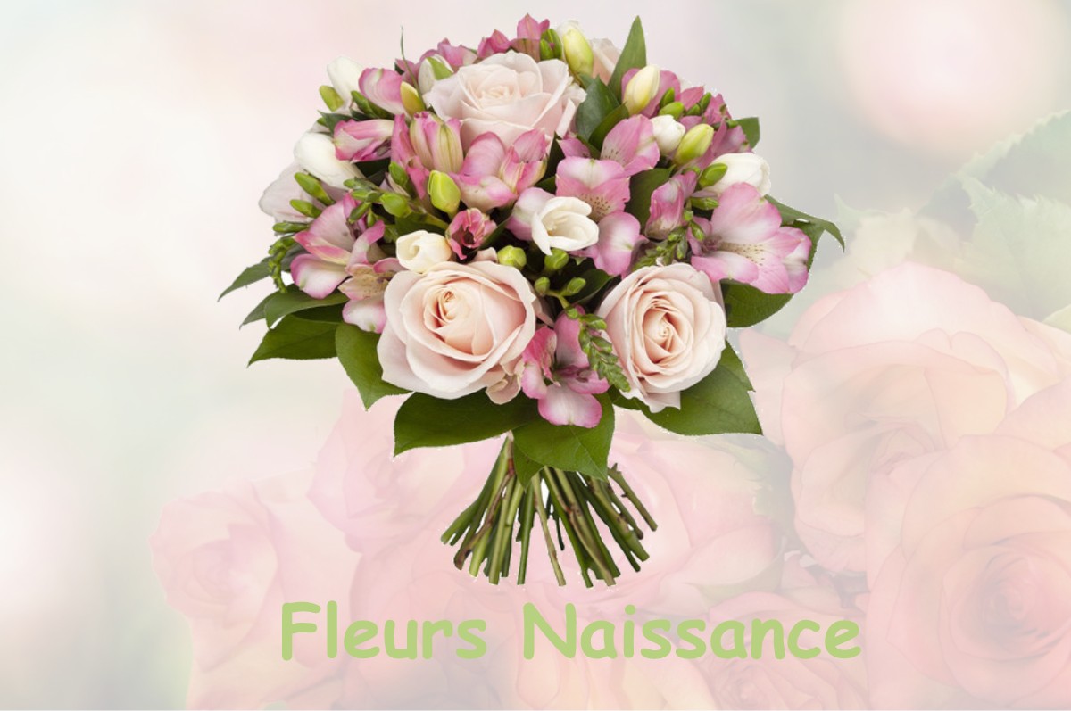 fleurs naissance CHAINEE-DES-COUPIS