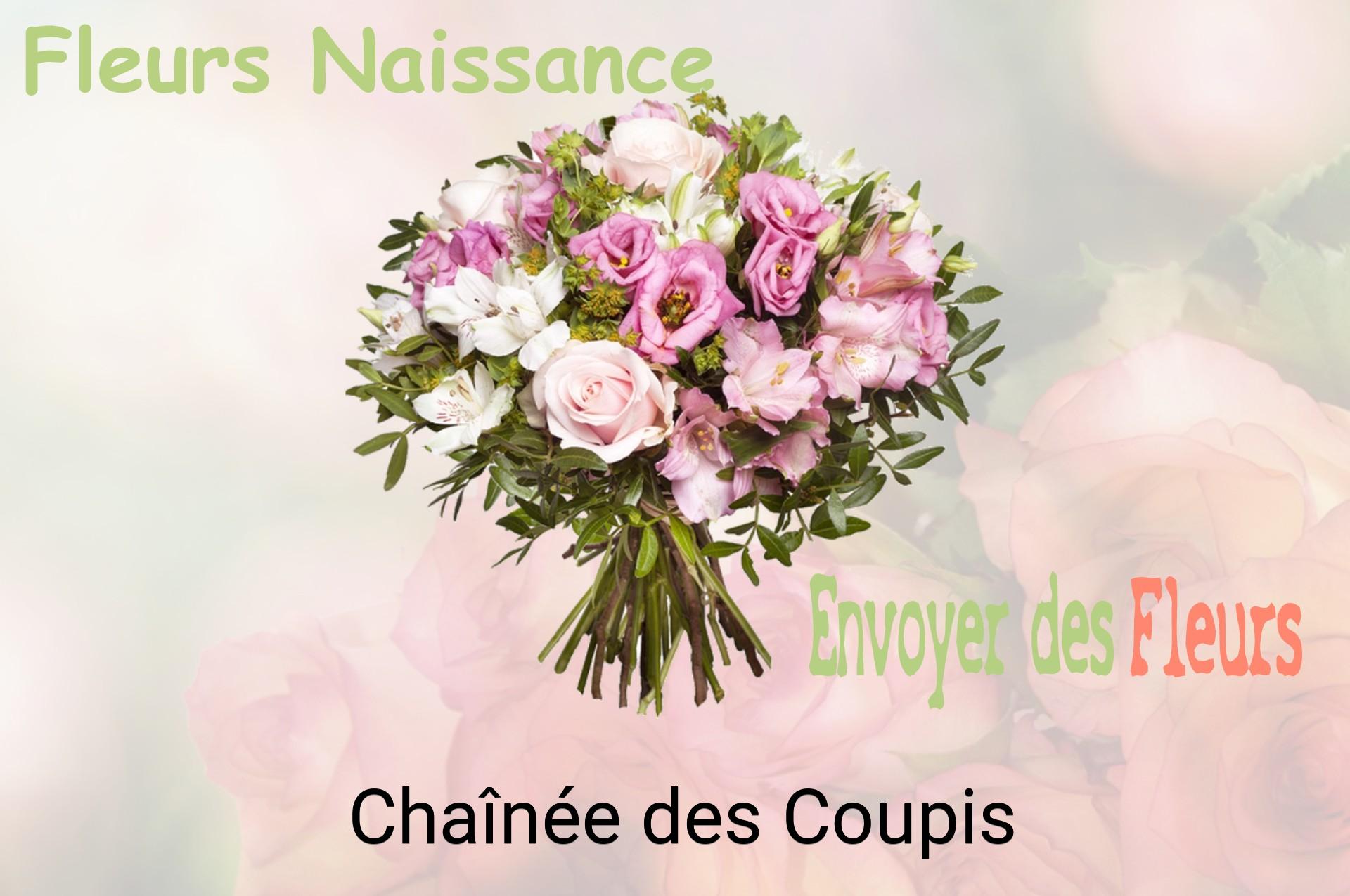 Bouquet de fleurs de naissance livré à Chaînée-des-Coupis