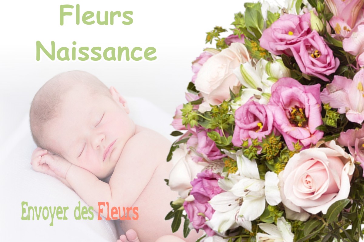 lIVRAISON FLEURS NAISSANCE à CHAINEE-DES-COUPIS